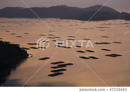 Mysterious oyster raft [Setouchi City, Okayama Prefecture] 47258483