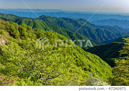 Fresh green mountain range seen from Tanzawa mountain ridge line Fresh green mountain range seen from Tanzawa mountain ridge line 47260971