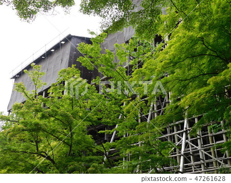 第16次清水寺 47261628