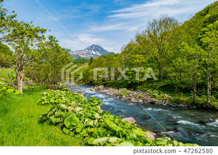 Hokkaido Shiretoko 2 Hokkaido Shiretoko 2 47262580