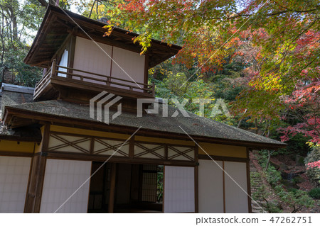 Autumn leaves and Sankeien Autumn leaves and Sankeien 47262751