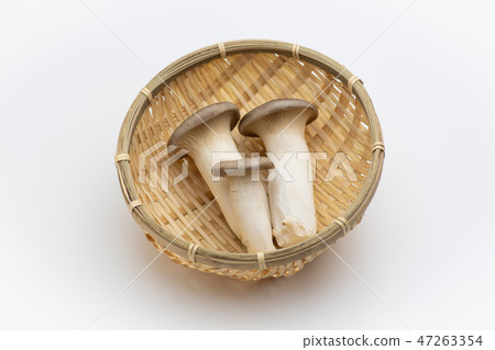 king oyster mushroom 47263354