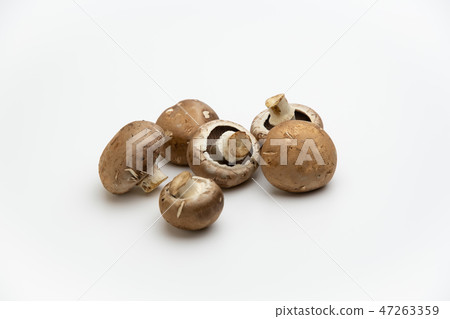 蘑菇 蘑菇 47263359