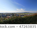 Taga農村風景 47263835