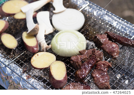 barbecue    47264025