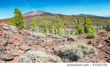 Amazing volcano on Tenerife 47265756