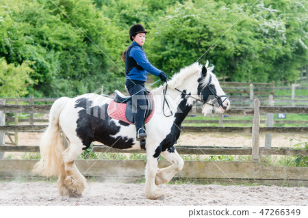 A girl practicing riding on a black and white horse 47266349