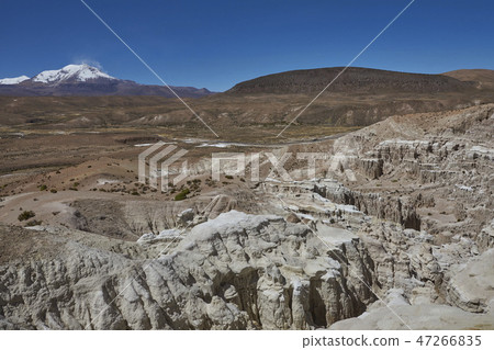 Landscape of the Altiplano 47266835