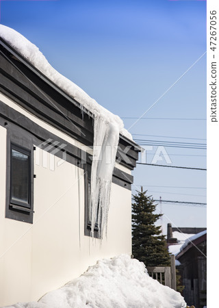 [Hakodate Taisetsu] 47267056