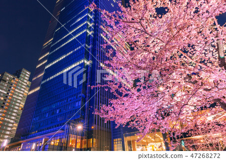 點亮櫻花和六本木建築 點亮櫻花和六本木建築 47268272