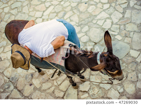 farmer in a village or small town with donkey farmer in a village or small town with donkey 47269030
