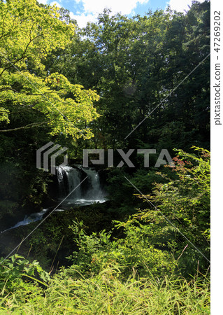 Waterfall at Kaneyama Waterfall at Kaneyama 47269202