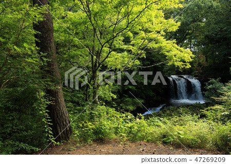Waterfall at Kaneyama Waterfall at Kaneyama 47269209