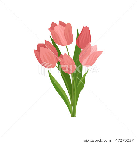 Cute pink tulips with green leaves. Beautiful spring bouquet. Nature theme. Flat vector illustration 47270237