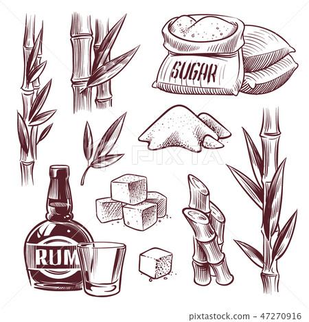 Sketch sugar cane. Sugarcane sweet leaf, sugar plant stalks, rum drink glass and bottle. Sugar Sketch sugar cane. Sugarcane sweet leaf, sugar plant stalks, rum drink glass and bottle. Sugar 47270916