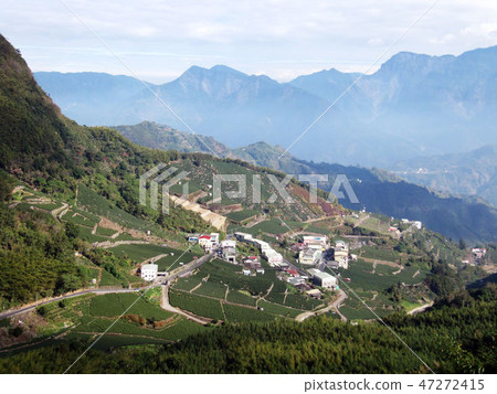 Alishan Xinzhongheng 47272415