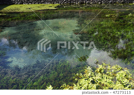 Tirta Empul寺廟聖水在巴厘島 47273113