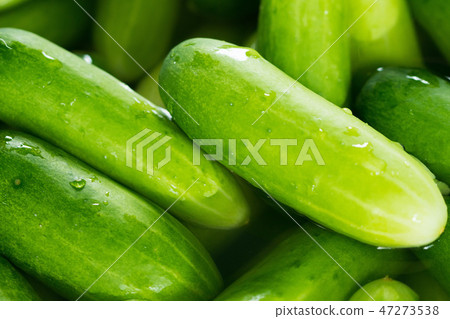 Many complete cucumber for salad and cooking food 47273538