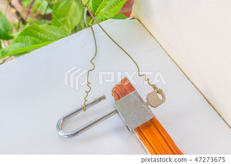 Passionfruit vine open the key on the white floor Passionfruit vine open the key on the white floor 47273675