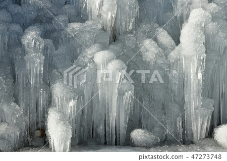 Ice molding of West Lake Wild Bird Park 47273748