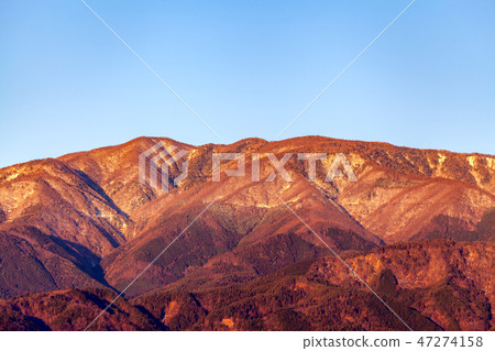 晨光，Mt。山，南阿爾卑斯山市 47274158