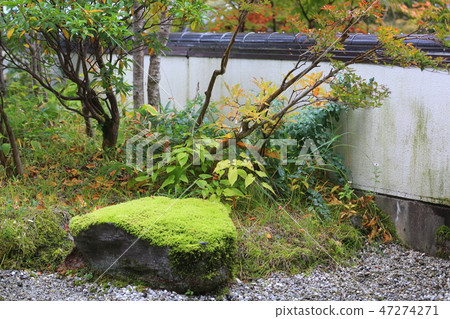 一個花園 47274271