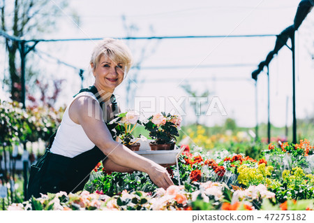 Woman selecting flowers in a gardening center Woman selecting flowers in a gardening center 47275182