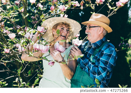 Senior marriage standing next to a tree Senior marriage standing next to a tree 47275266