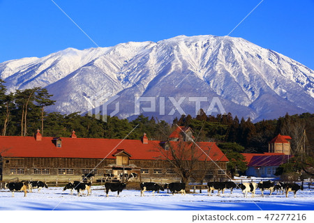 Iwate mountain and ranch in winter 47277216