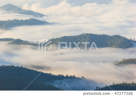 Fog moves along the mountains in the morning. Fog moves along the mountains in the morning. 47277388