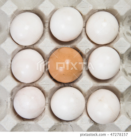 Egg in an egg crate on white background Egg in an egg crate on white background 47278157