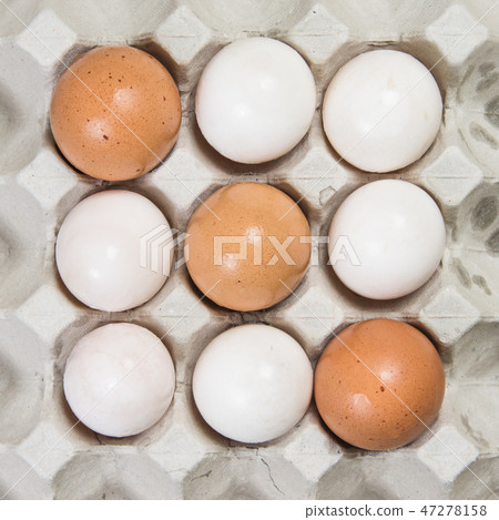 Egg in an egg crate on white background Egg in an egg crate on white background 47278158