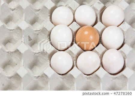 Egg in an egg crate on white background  47278160
