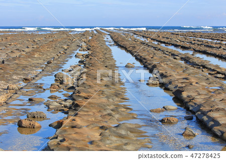 Aoshima_Miyazaki市Upwelling海底和變形的腐蝕痕跡 Aoshima_Miyazaki市Upwelling海底和變形的腐蝕痕跡 47278425