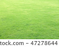 Green field at the public park 47278644