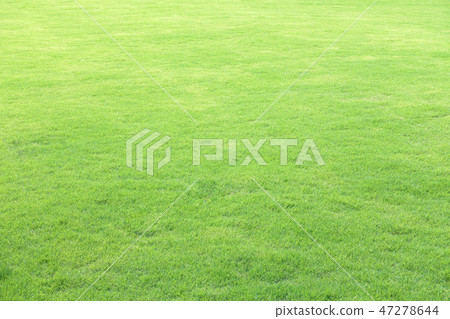 Green field at the public park 47278644