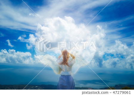 Wings of the sky 47279061