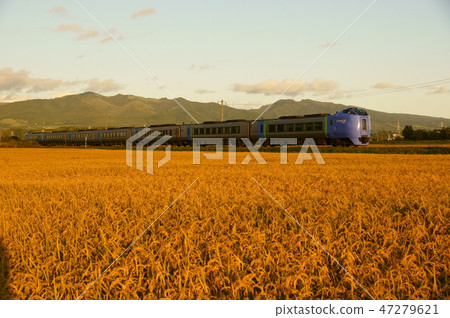 Golden Muroran Main Line Kiha 281 Limited Express Super Hokuto 47279621