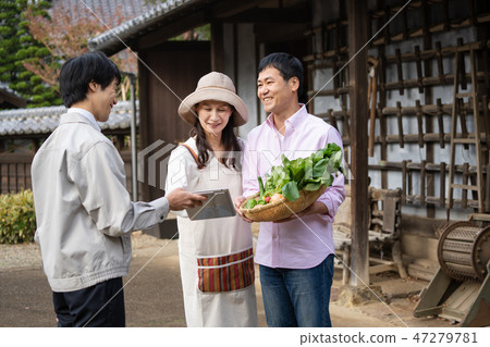 Agricultural couple vegetable farmer image Agricultural couple vegetable farmer image 47279781