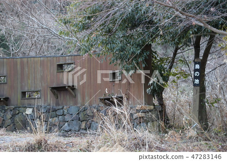 Wild bird observation wall Snow entering contact village park Kasumigara city Wild bird observation wall Snow entering contact village park Kasumigara city 47283146