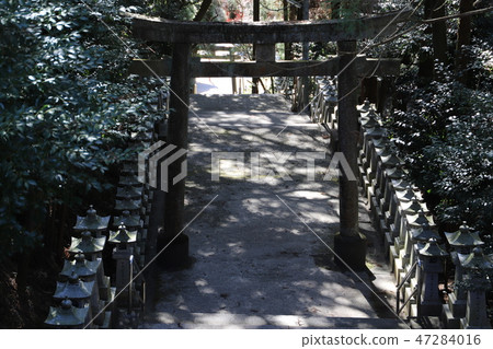 Imayama八幡宮 47284016