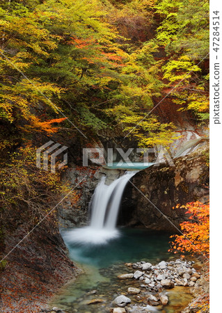 西澤谷,龍津瀑布 西澤谷,龍津瀑布 47284514