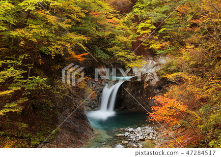 西澤谷,龍津瀑布 西澤谷,龍津瀑布 47284517