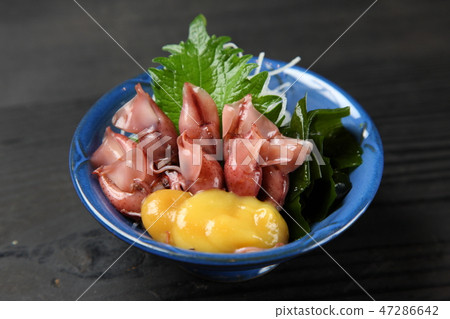 烏賊 47286642
