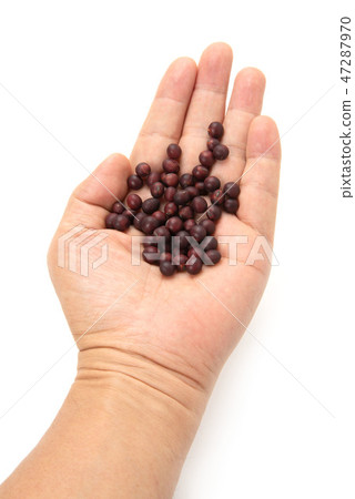 紅豆 47287970
