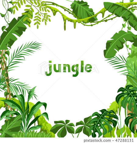Background with jungle plants. 47288131
