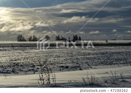 Cold bleak snowy winter landscape 47288162
