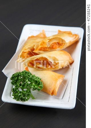 Pizza spring roll 47288241
