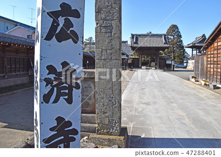 從Kawagoe Hiroji寺廟入口的一個看法 47288401