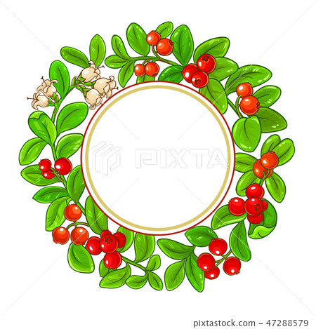 lingonberry vector frame lingonberry vector frame 47288579